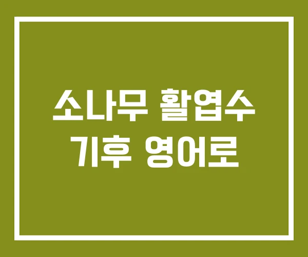 소나무 활엽수 기후 영어로