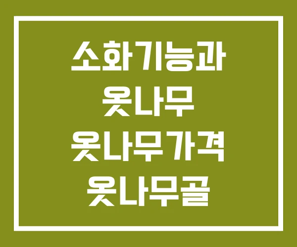 소화기능과 옷나무 옷나무가격 옷나무골