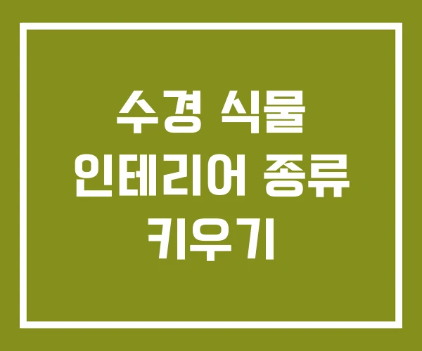 수경 식물 인테리어 종류 키우기