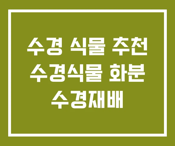 수경 식물 추천 수경식물 화분 수경재배