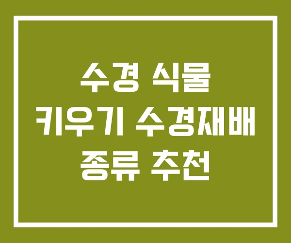수경 식물 키우기 수경재배 종류 추천