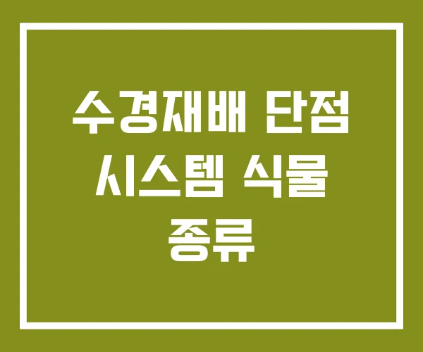 수경재배 단점 시스템 식물 종류