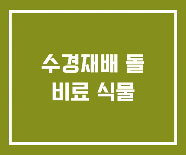 수경재배 돌 비료 식물