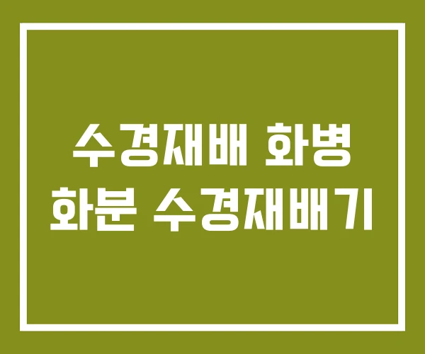 수경재배 화병 화분 수경재배기