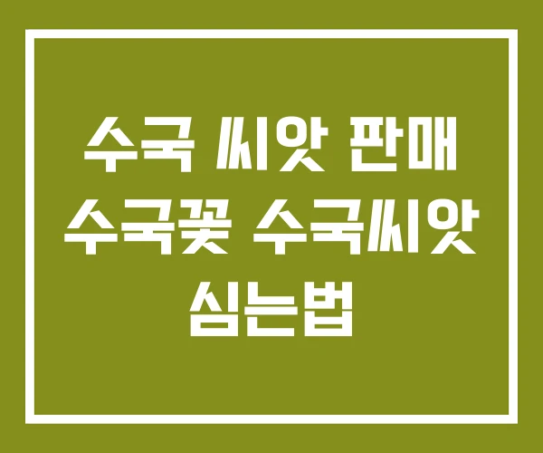 수국 씨앗 판매 수국꽃 수국씨앗 심는법