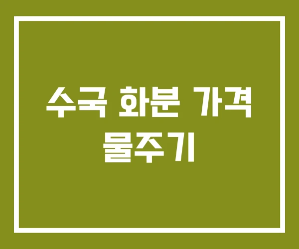 수국 화분 가격 물주기