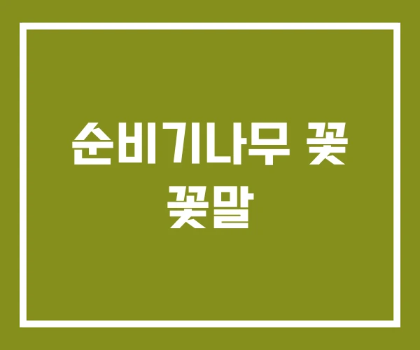 순비기나무 꽃 꽃말