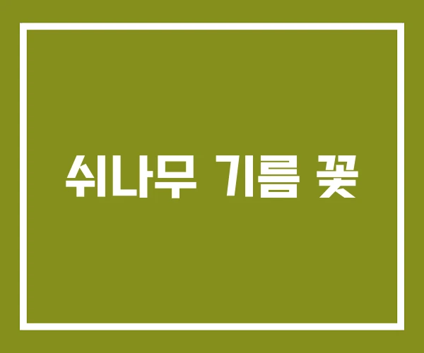 쉬나무 기름 꽃