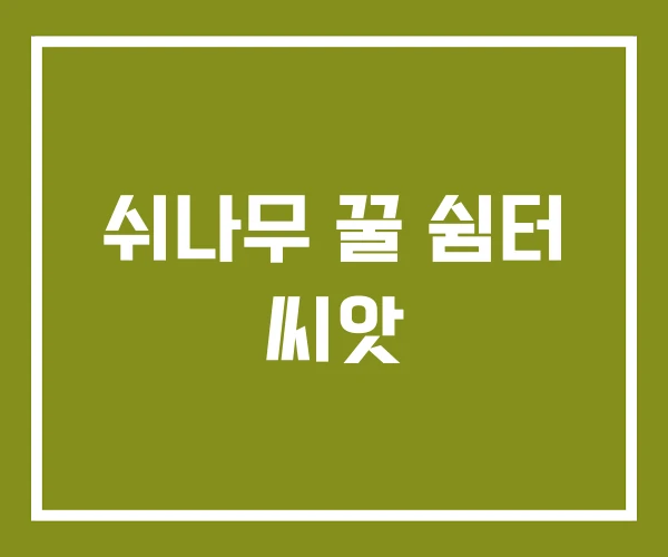 쉬나무 꿀 쉼터 씨앗