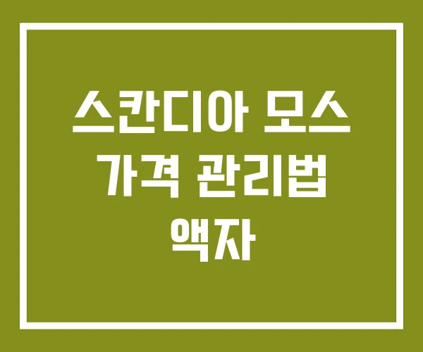 스칸디아 모스 가격 관리법 액자