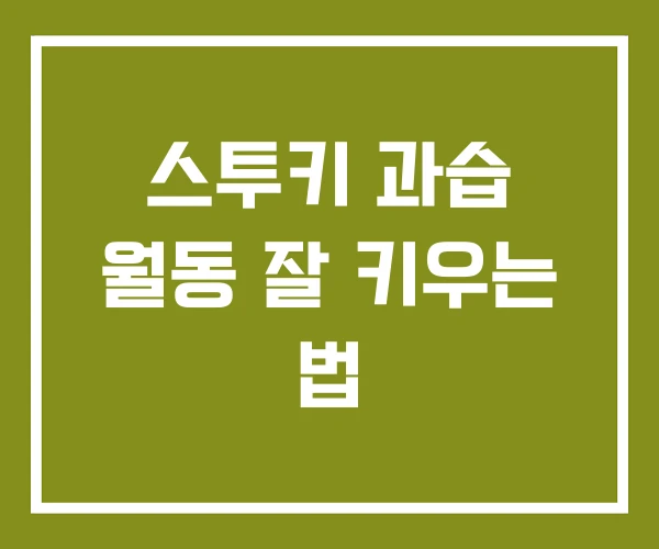 스투키 과습 월동 잘 키우는 법