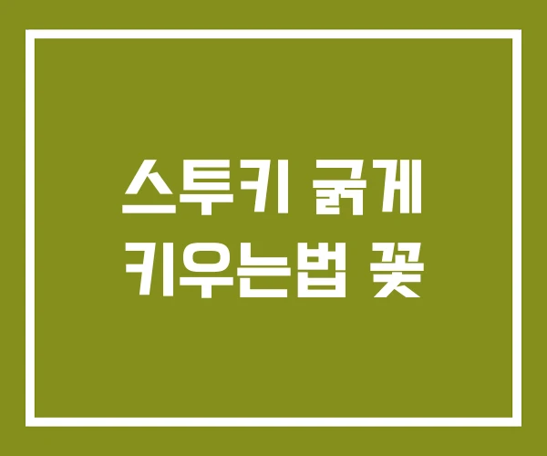 스투키 굵게 키우는법 꽃