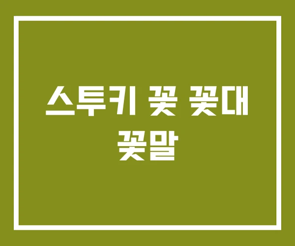 스투키 꽃 꽃대 꽃말