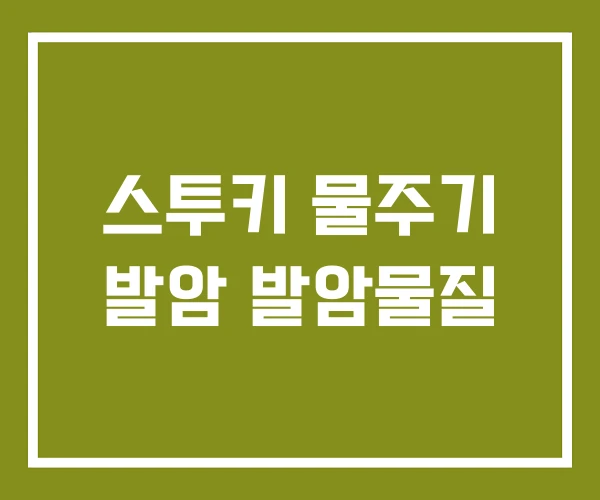 스투키 물주기 발암 발암물질