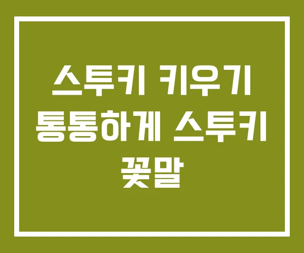 스투키 키우기 통통하게 스투키 꽃말