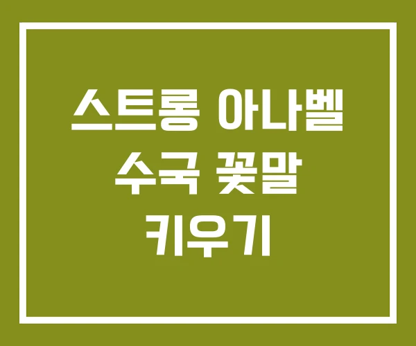 스트롱 아나벨 수국 꽃말 키우기