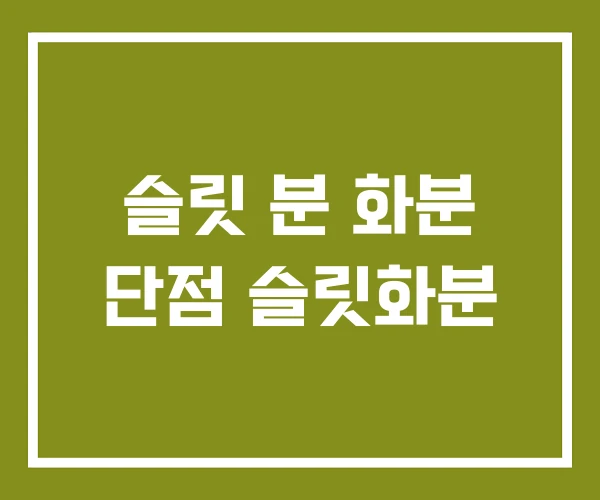 슬릿 분 화분 단점 슬릿화분