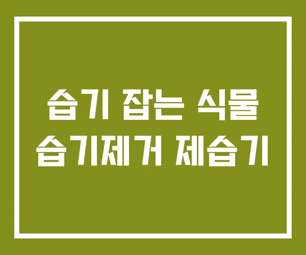 습기 잡는 식물 습기제거 제습기