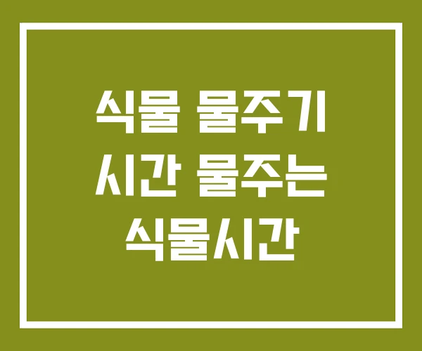 식물 물주기 시간 물주는 식물시간