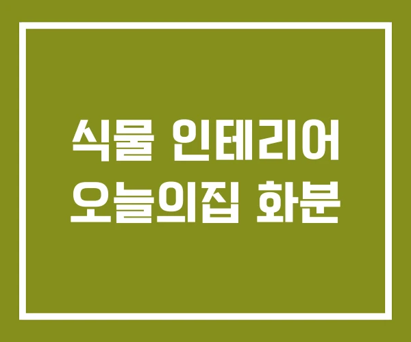 식물 인테리어 오늘의집 화분