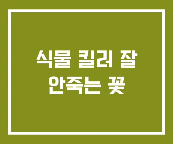 식물 킬러 잘 안죽는 꽃