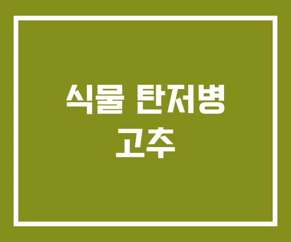 식물 탄저병 고추