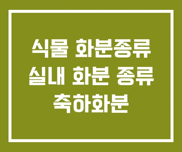 식물 화분종류 실내 화분 종류 축하화분