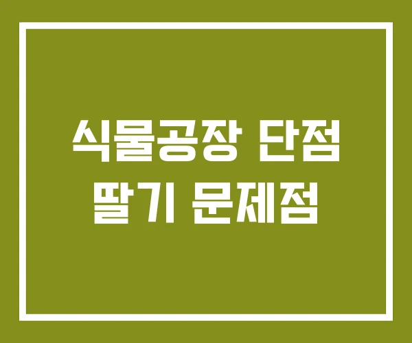 식물공장 단점 딸기 문제점