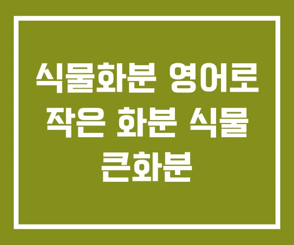 식물화분 영어로 작은 화분 식물 큰화분