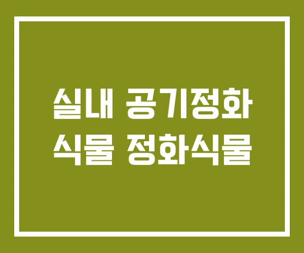 실내 공기정화 식물 정화식물
