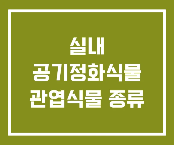 실내 공기정화식물 관엽식물 종류