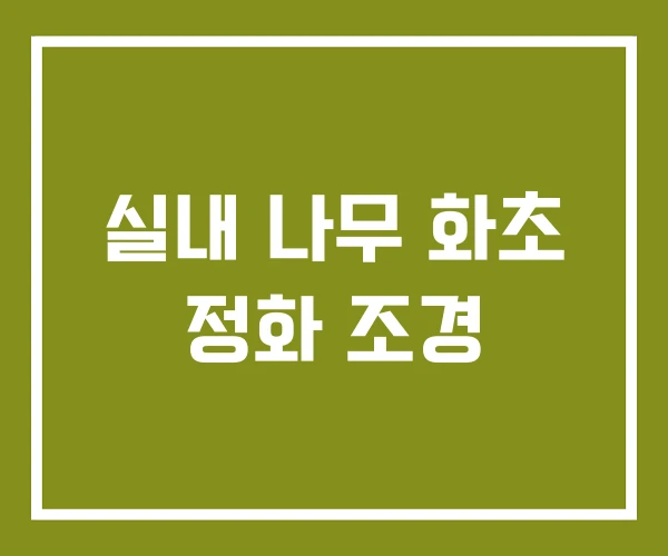 실내 나무 화초 정화 조경