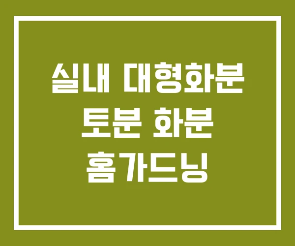 실내 대형화분 토분 화분 홈가드닝