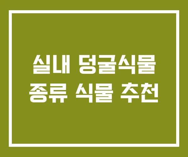 실내 덩굴식물 종류 식물 추천