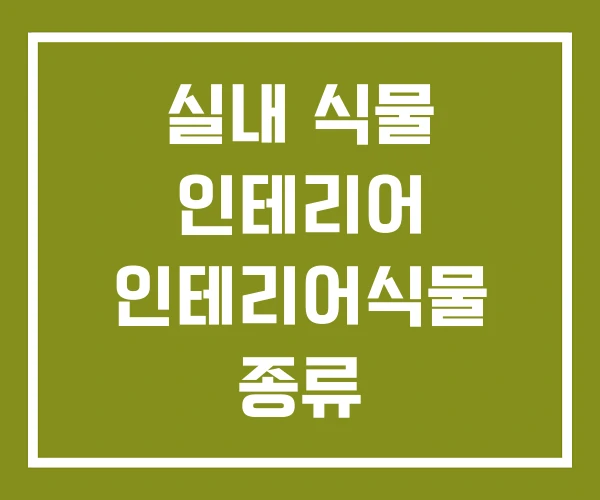 실내 식물 인테리어 인테리어식물 종류