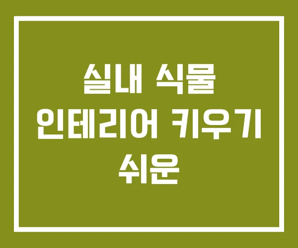 실내 식물 인테리어 키우기 쉬운