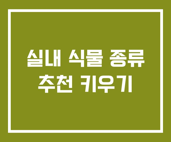 실내 식물 종류 추천 키우기