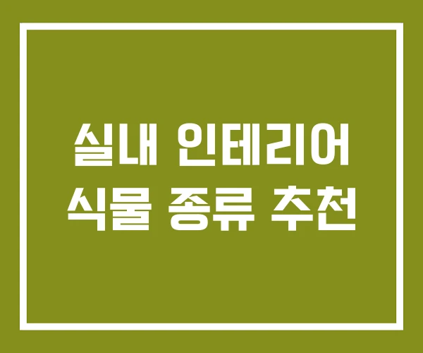 실내 인테리어 식물 종류 추천