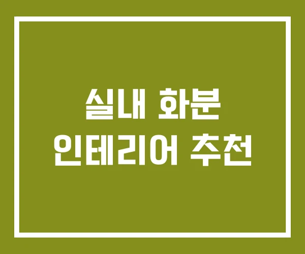 실내 화분 인테리어 추천