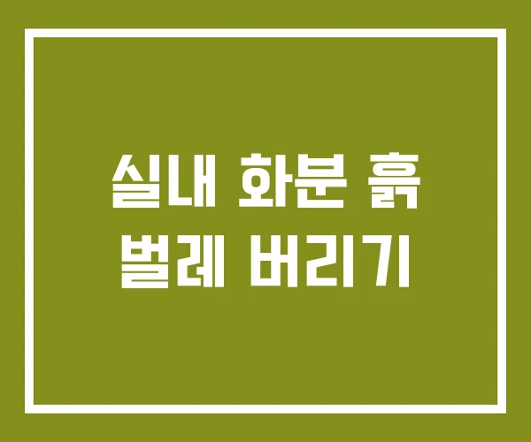실내 화분 흙 벌레 버리기