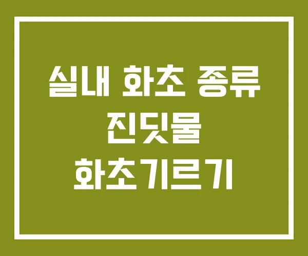 실내 화초 종류 진딧물 화초기르기