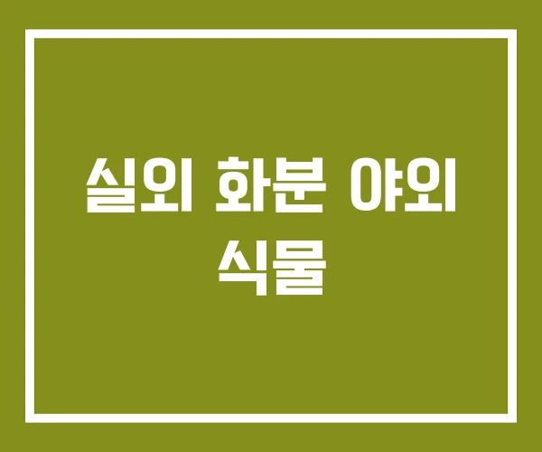 실외 화분 야외 식물