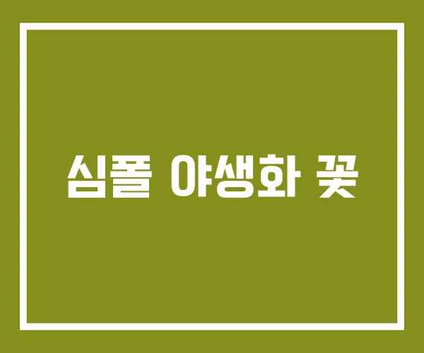 심폴 야생화 꽃