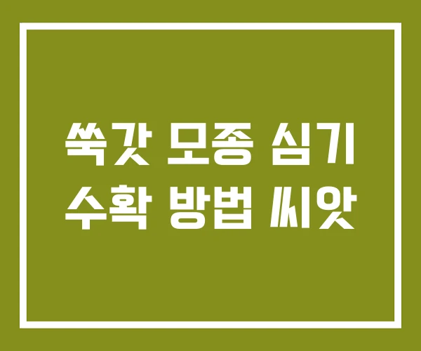 쑥갓 모종 심기 수확 방법 씨앗