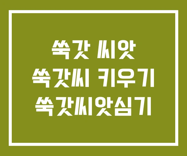 쑥갓 씨앗 쑥갓씨 키우기 쑥갓씨앗심기