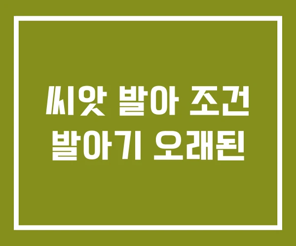 씨앗 발아 조건 발아기 오래된