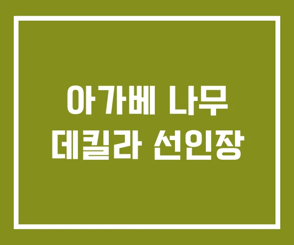 아가베 나무 데킬라 선인장