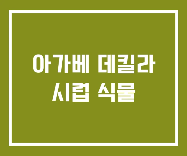 아가베 데킬라 시럽 식물