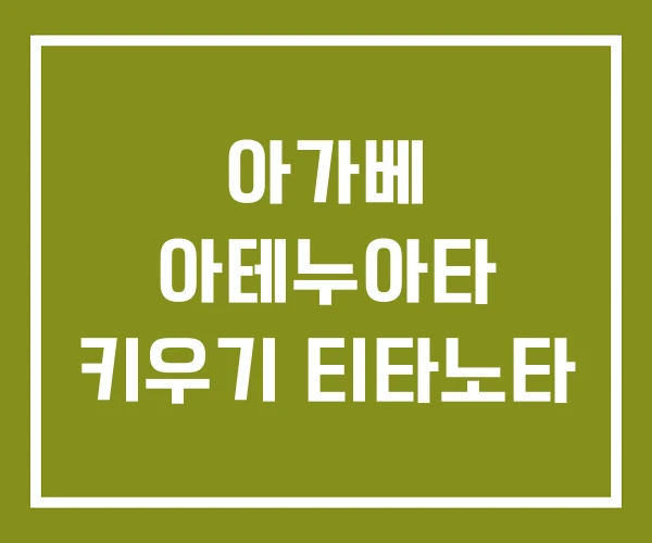 아가베 아테누아타 키우기 티타노타