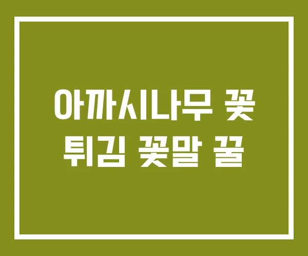 아까시나무 꽃 튀김 꽃말 꿀